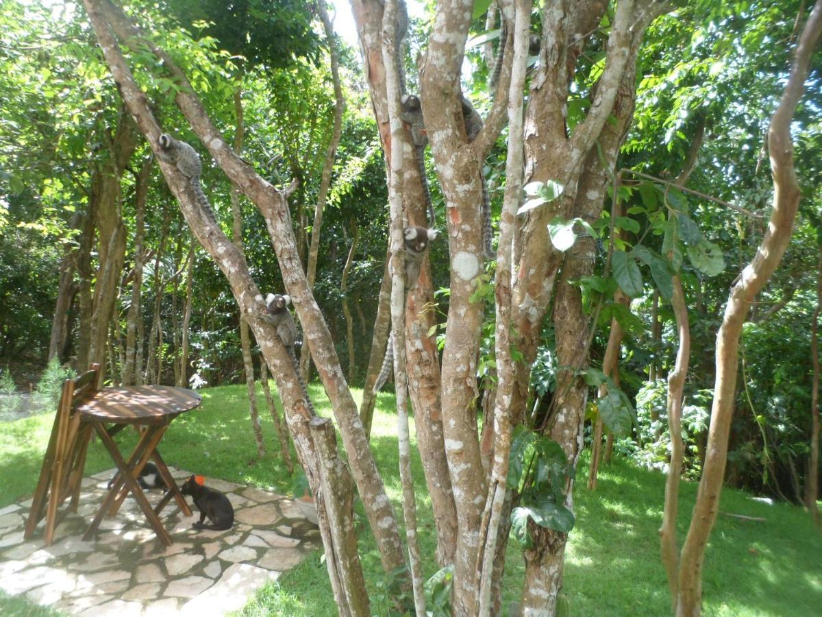 Casa Hermosa II Praia de Pipa Eksteriør bilde